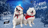 Happy New Year Christmas GIF
