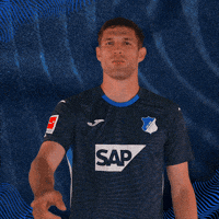 Sport Bundesliga GIF by TSG Hoffenheim