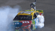 Happy Kyle Busch GIF by NASCAR