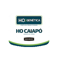 Hogenetica Sticker by SEEDCORP | HO