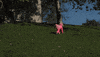 nicki minaj dog GIF by DNCE