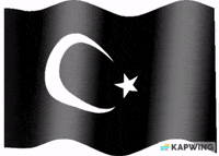 Faragalnemr GIF
