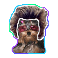 yorkies STICKER by imoji