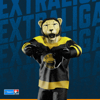 Hockey Hokej GIF by Tipsport extraliga