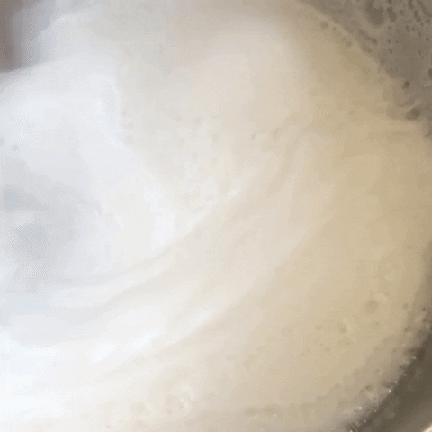 beatrizsandini giphygifmaker GIF