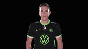 Sport Soccer GIF by VfL Wolfsburg