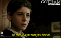 gotham GIF by Fox TV