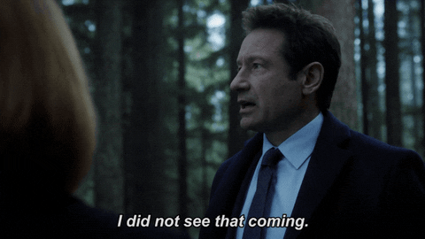 scully mulder GIF by The X-Files