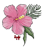 Flower Hawaii Sticker by Il Gufo