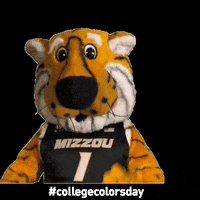 Blushing College Sports GIF by College Colors Day
