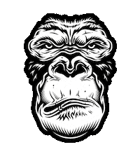 BSG-racing sonax felgenbeast Sticker