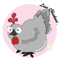 Chickens_gang lay chickens laying poule Sticker