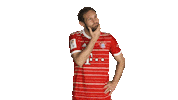 Bayern Sommer Sticker by Bundesliga