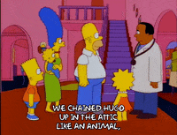 explain homer simpson GIF