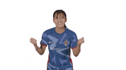 North Carolina Courage Sport GIF by National Women's Soccer League