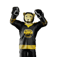 Hockey Hokej Sticker by Tipsport extraliga