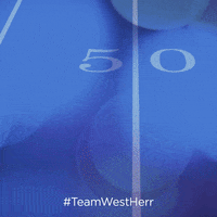 Buffalo Bills GIF by West Herr