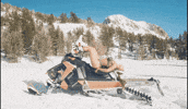 Bichota GIF by Karol G
