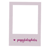 Love Dogs Dog Sticker by puppytales