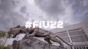 GIF by FIU
