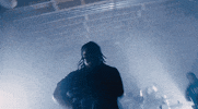 Party Moshing GIF by Pure Noise Records