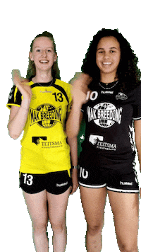 HVGeelZwart handbal geelzwart geel-zwart hvgeel-zwart Sticker