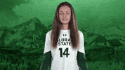 Volleyball GIF by Colorado State Rams