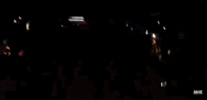 dj lol GIF
