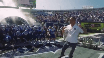 memphis gotigersgo GIF