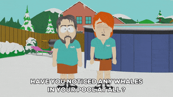 pool whales GIF by South Park 