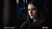 Season 2 Reaction GIF by Law & Order