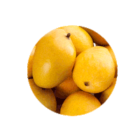 redrickshawfood mango redrickshaw mangolikethis redrickshawmangoes Sticker