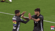 Lyon Joie GIF by Olympique Lyonnais