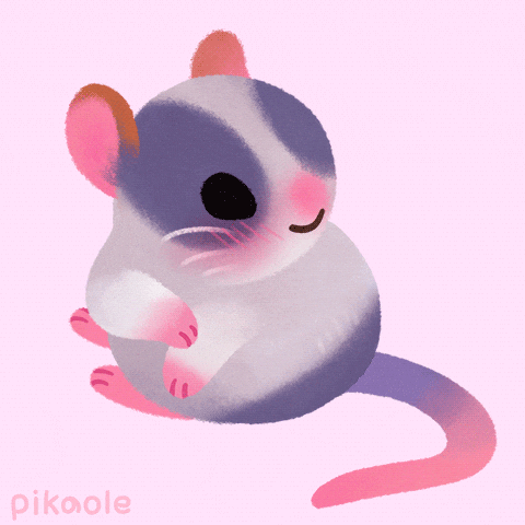 Mouse Grooming GIF by pikaole