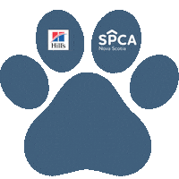 Adopt Me Best Friends Sticker by Nova Scotia SPCA