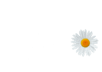Luana Sticker