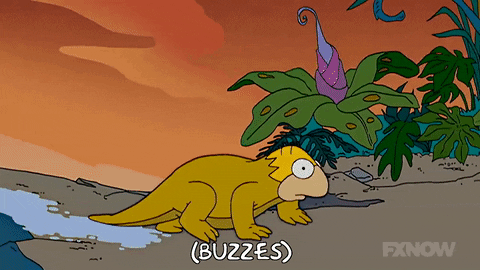 Episode 19 Swamp GIF by The Simpsons