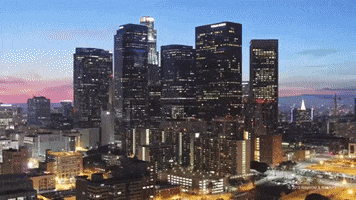 los angeles city GIF by The Broad Museum