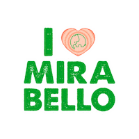Love Sticker by Centro Commerciale Mirabello