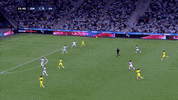 Steve Mandanda Goalkeeper GIF by Olympique de Marseille
