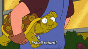 Season 1 GIF by FOX TV