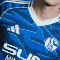 Football Soccer GIF by FC Schalke 04