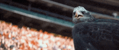 War Eagle Wow GIF by Auburn Tigers