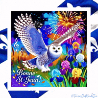 Fleur De Lys Feux Dartifice GIF by TresorsDuMonde.ca