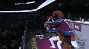 ice hockey sport GIF by NHL