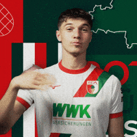 Football Bundesliga GIF by FC Augsburg 1907