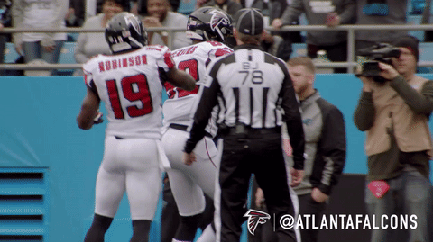 football nfl GIF by Atlanta Falcons
