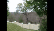 garden wonder GIF