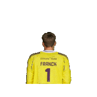 Sahb Sticker by Sélestat Alsace Handball