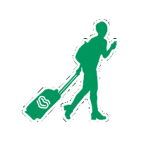 Travel Usa Sticker by AuPairCare